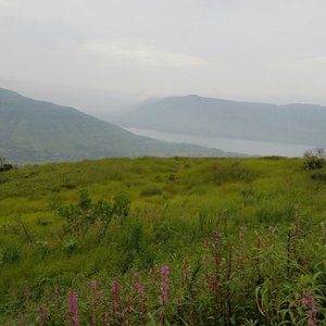 Profile Picture of Bruce (@bruce_raymond) on Myspace