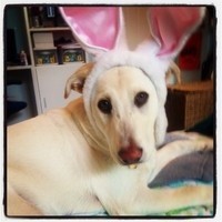 Profile Picture of Tamara Hudson  (@tamara-hudson-39) on Quora