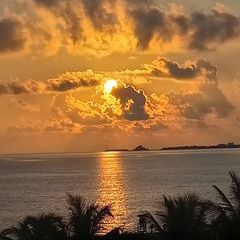 Profile Picture of lorawesthoff (@lorawesthoff) on Tiktok