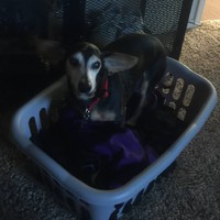 Profile Picture of Jesse Felix (@jesse-felix-21) on Quora