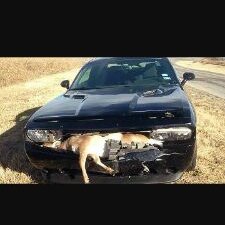 Profile Picture of Kevin Roane (@KevinRoane2) on Twitter