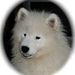 Profile Picture of Brian Neuhart (@brianneuhart) on Pinterest