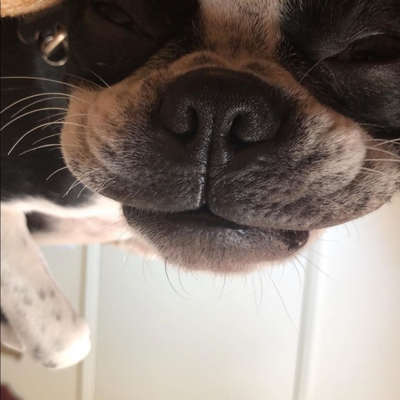 Profile Picture of Eric Sanchez (@esanchez7333) on Poshmark