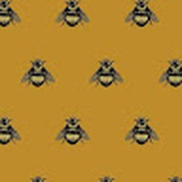 Profile Picture of Amelia Topping (@amelia-topping-4) on Quora