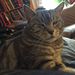 Profile Picture of Steve Andrew (@scandrew64) on Pinterest
