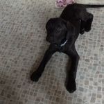 Profile Picture of Max Jørgensen (@jorgensen.max) on Instagram