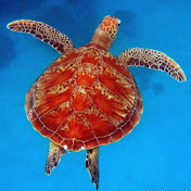 Profile Picture of Benjamin Cornwell (@benjamincornwell2093) on Youtube