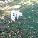 Profile Picture of Robert Hehir (@roberthehir) on Instagram