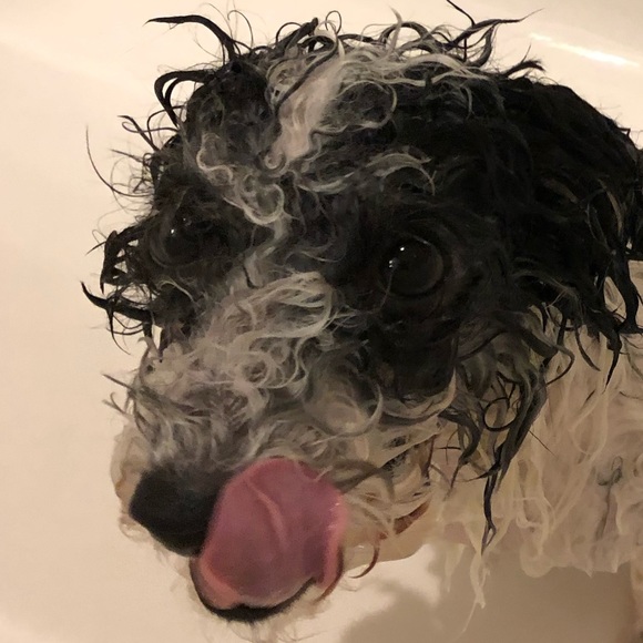 Profile Picture of Julian Nowicki (@juliannowicki) on Poshmark