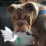 Profile Picture of Glenys Kay Garside (@qweeny64) on Instagram