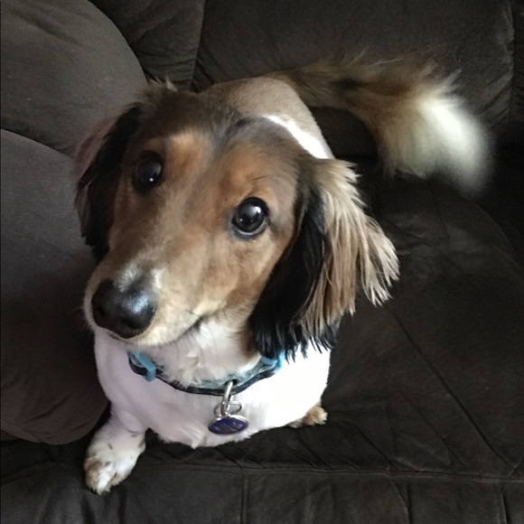 Profile Picture of Debbie Laydon (@deblay1970) on Poshmark