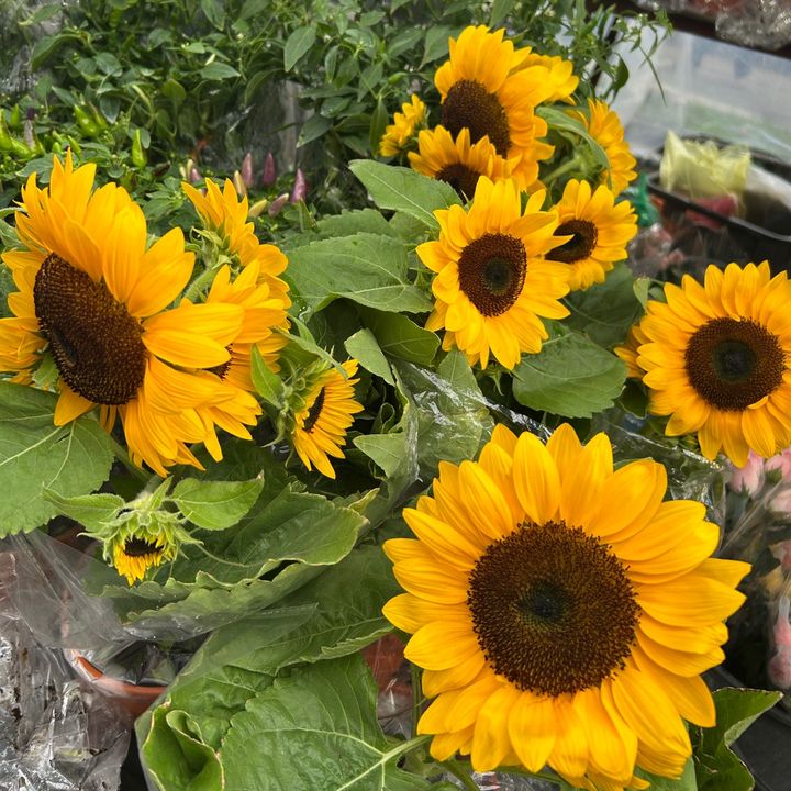 Profile Picture of Paulalay (@paulalay27) on Tiktok