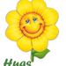 Profile Picture of Wendy Ellis (@merchogymru) on Pinterest