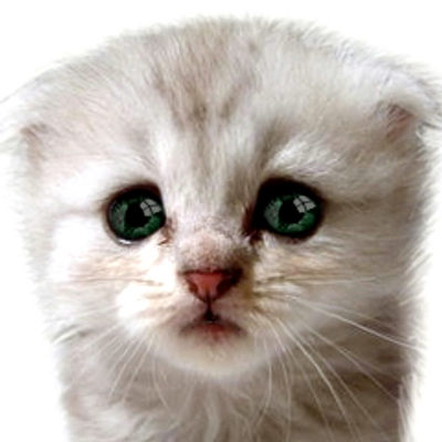 Profile Picture of Jim Vercelli (@jimvercelli) on Twitter