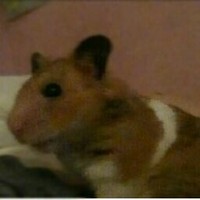 Profile Picture of Gwilym Jones (@gwilym-jones-11) on Quora