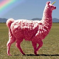Profile Picture of Carson Pickens (@carson-pickens) on Quora