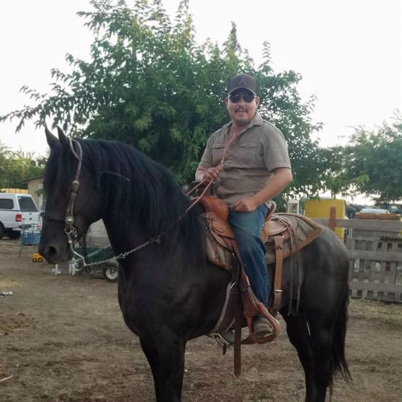 Jose a Castrejon - Poshmark Profile Picture of Jose a Castrejon (@castrejona81) on Poshmark