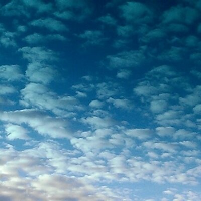 Profile Picture of Lisa Malmstrom (@dankdoo) on Twitter