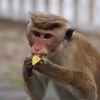 Profile Picture of Gauthier Gilbert (@@tigoooooooooo) on Tiktok