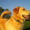 Profile Picture of Wilbur Michael (@wilbur.michael) on Facebook