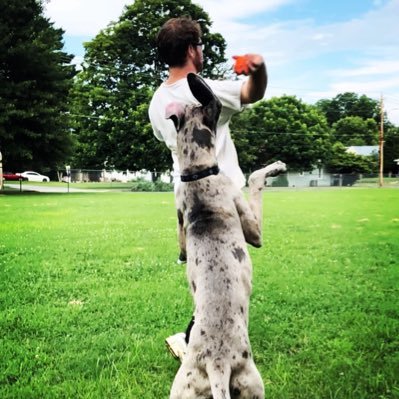 Profile Picture of Matt Lyall (@bassnectarflux) on Twitter