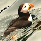 Profile Picture of Richard Yow (@richardyow3434) on Youtube