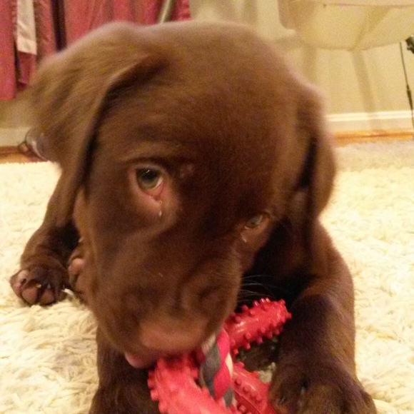 Profile Picture of William Funk (@willhfunk) on Poshmark