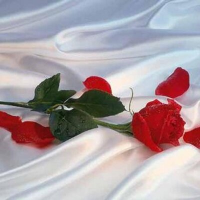 Profile Picture of Yolanda Velarde (@VRYJOA) on Twitter