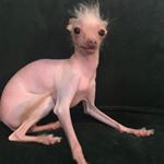 Profile Picture of Jenna Levy (@jenslevy) on Instagram