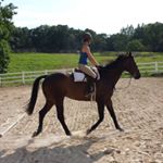Profile Picture of Brooke M. Witherow (@b_m_witherow) on Instagram