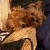 Profile Picture of Tammy L. MohneyEsposito (Tammy L. Mohney) (@tammy.mohneyesposito) on Facebook