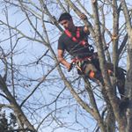 Profile Picture of Paul (@paulbombaud__) on Instagram