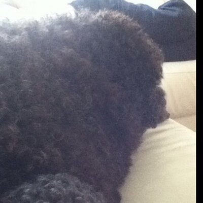 Profile Picture of Jon Doran (@Jon_Doran) on Twitter