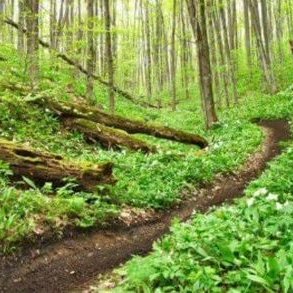 Tony Pruitt - Twitter Profile Picture of Tony Pruitt (@Tony_Pruitt) on Twitter