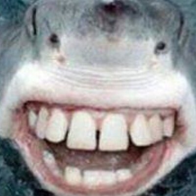 Profile Picture of Shawn McAdam (@Shawndoodler) on Twitter