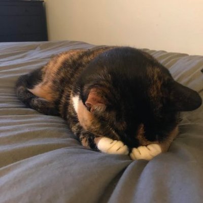 Profile Picture of Michael Joe (@DiaryNiMichael) on Twitter