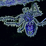 Profile Picture of halim bavi (@halim611513291b) on Flickr