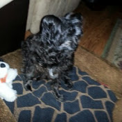 Profile Picture of Simone Broussard (@simonebroussard6046) on Youtube