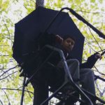 Profile Picture of Nate Silverman (@nate.sil1) on Instagram