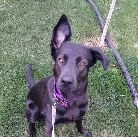 Profile Picture of Winter Brendemuhl (@wbrendemuhl) on Poshmark