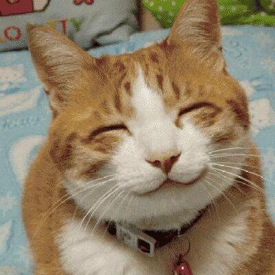 Profile Picture of David Nussbaum (@NussbaumDavid) on Twitter