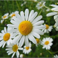 Profile Picture of Hannah Glaze (@hannah-glaze) on Quora