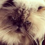 Profile Picture of Kim McMahon (@kimmcm192) on Instagram