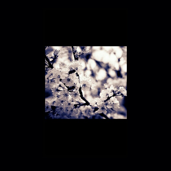 Profile Picture of Tara Mellott (@tmellott17) on Poshmark