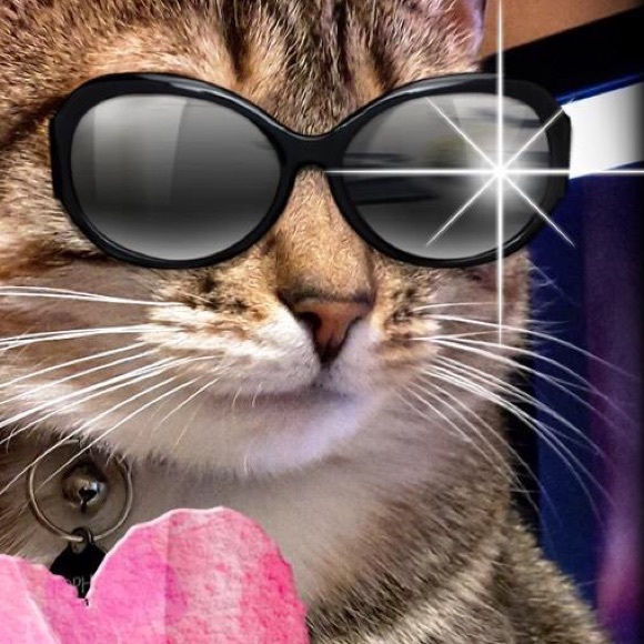 Rachel Rocklin - Poshmark Profile Picture of Rachel Rocklin (@shrike) on Poshmark