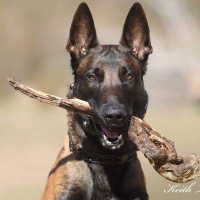Profile Picture of Kenneth Lessard (@KennethLessar10) on Twitter