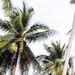 Profile Picture of Danielle Rheault (@drheault) on Pinterest