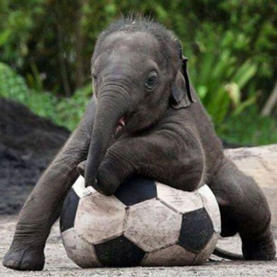 Profile Picture of Jimmy Medina Farfán (@HamezMF) on Twitter