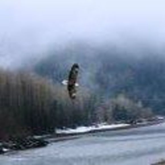 Profile Picture of David Lau (@davidlau36) on Poshmark