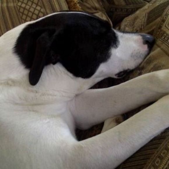 Profile Picture of Keller Bueneman (@kab0124green) on Poshmark